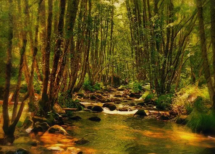 Casa Rural Cabo La Aldea 모가라스